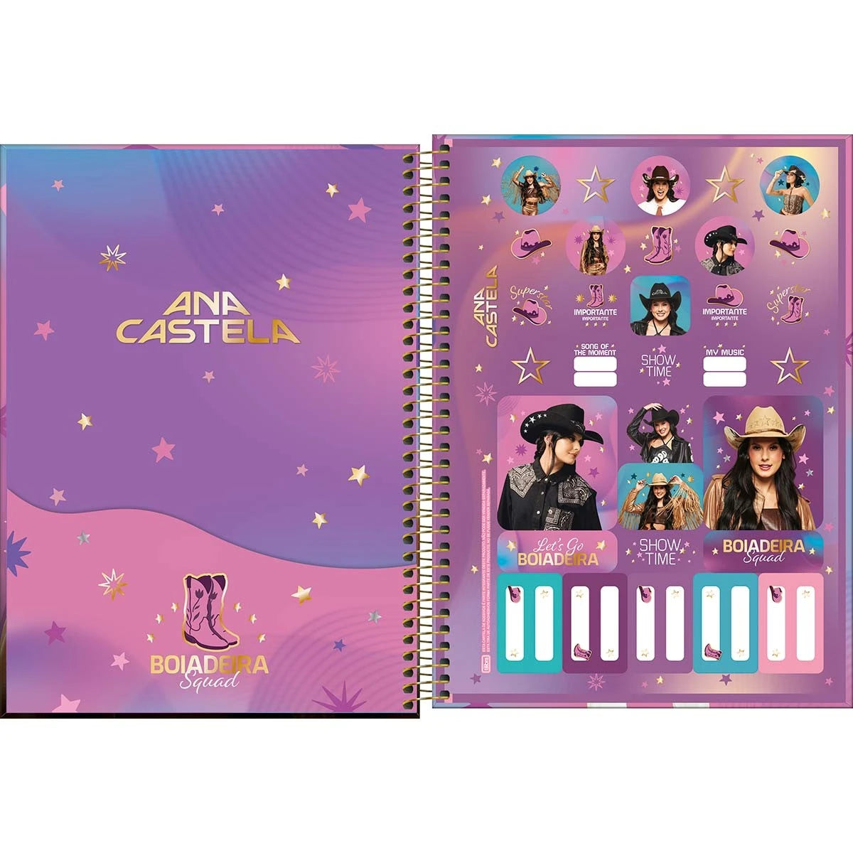 Caderno Ana Castela 10 Matérias Capa Dura Universitário 20x27,5cm